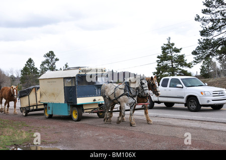 Wagonteamster - Wagen und Pferd Art des Reisens, USA Stockfoto