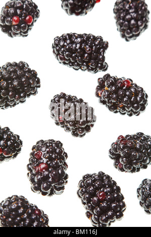 Brombeeren auf einer rein weißen Hintergrund isoliert Stockfoto