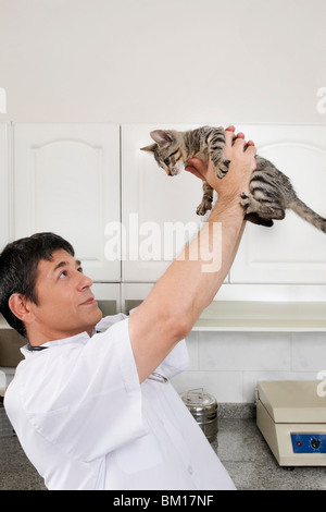 Trägt eine Katze in einer Tierklinik Tierarzt Stockfoto