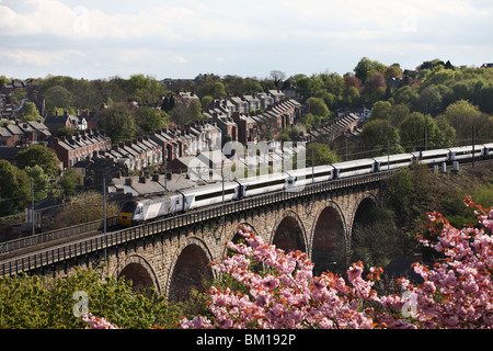 Ein high-Speed-Diesel-Zug der Ostküste Gesellschaft gesehen über das Viadukt in Durham, England, UK Stockfoto