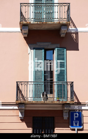 Hund auf einem Balkon in Lugano, Schweiz Stockfoto