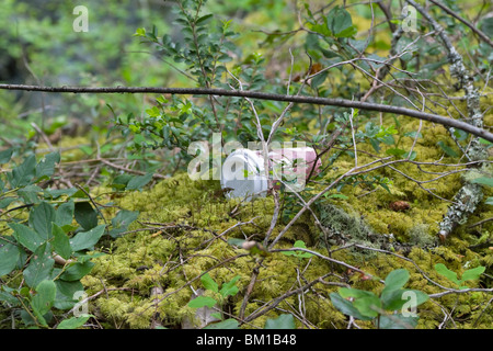 Wurf im Frühling Wälder. Eine leeren Karton Kaffeetasse mit weißen Kunststoffdeckel hat achtlos weggeworfen worden. Stockfoto