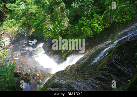 Barke fällt auf die Afon Barke an Teufels Brücke, Ceredigion, Wales, UK Stockfoto