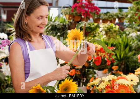 Weibliche Florist Rebschnitt Blumen Stockfoto