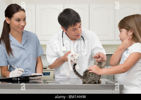 Tierärzte, die Katzen in einem Krankenhaus untersuchen Stockfoto