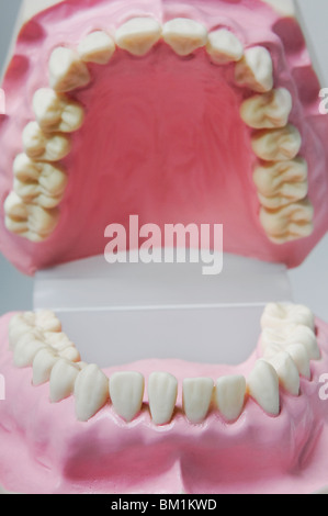 Nahaufnahme eines Satzes von Zahnersatz Stockfoto