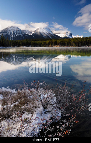 Herbert See und Bogen Reichweite, Banff National Park, UNESCO-Weltkulturerbe, Rocky Mountains, Alberta, Kanada, Nordamerika Stockfoto