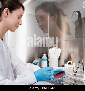 Ärztin in einem Labor untersucht Stockfoto