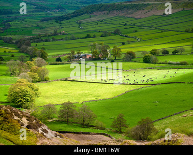 Frühling über kleine Fryupdale, North York Moors National Park Stockfoto