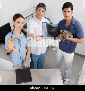 Tierarzt untersucht eine Katze Röntgen Stockfoto