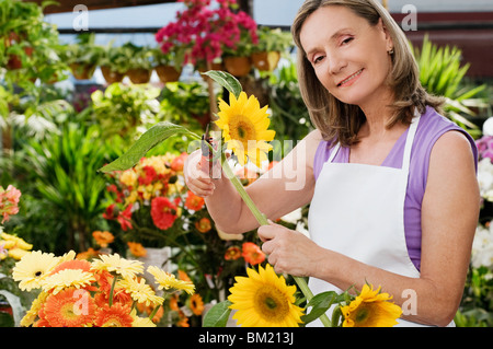 Weibliche Florist Rebschnitt Blumen Stockfoto