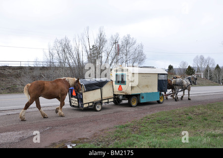 Wagonteamster - Wagen und Pferd Art des Reisens, USA Stockfoto