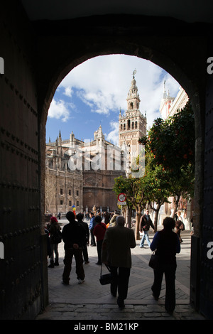 Die Kathedrale und der Giralda Turm gesehen durch den Patio de Banderas Torbogen. Sevilla, Spanien Stockfoto