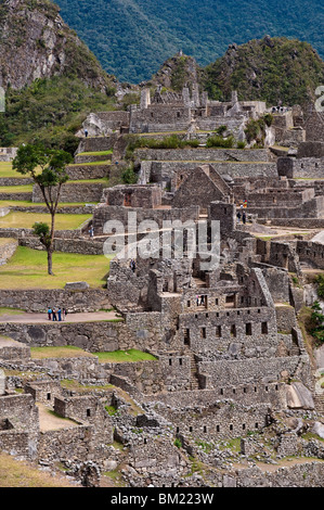 Inka-Ruinen, Machu Picchu, UNESCO-Weltkulturerbe, Peru, Südamerika Stockfoto