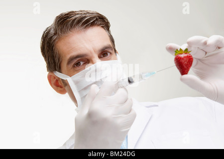 Laborantin Injektion in eine Erdbeere Stockfoto