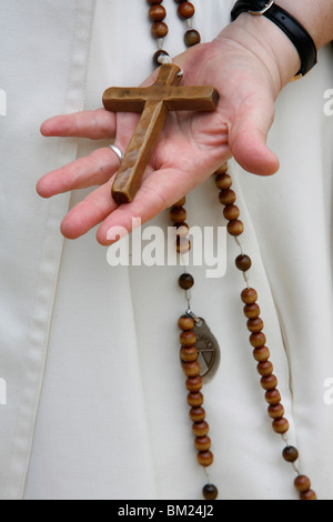 Rosenkranz, Ars-Sur-Formans, Ain, Frankreich, Europa Stockfoto