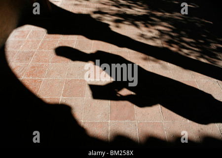 Bibellesen, New York, Vereinigte Staaten von Amerika, Nordamerika Stockfoto