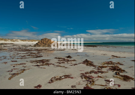 Weißen Sandstrand auf North Uist und die RSPB Reserve von Balranald. Stockfoto