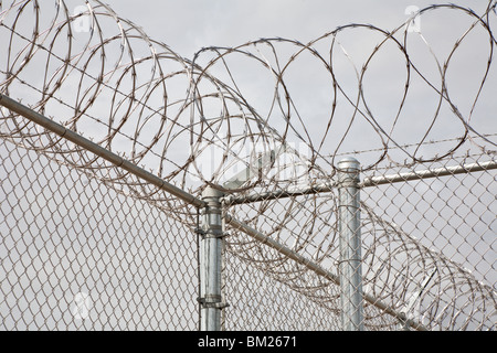 Florida - Februar 2009 - Edelstahl Stacheldraht Spiralen über Maschendrahtzaun an Justizvollzugsanstalt in Zentral-Florida Stockfoto