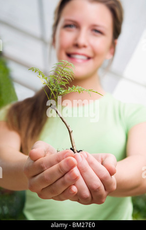 Frau hält ein Bäumchen in einem Gewächshaus Stockfoto