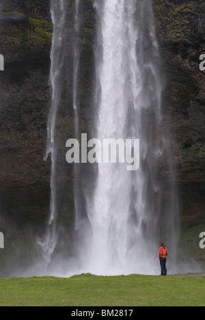 Frau bewundern, des große Wasserfalls von Seljandsfoss, Island, Polarregionen Stockfoto