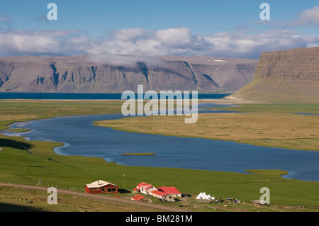 Bauernhof in die typische Landschaft im Fjord, Patreksfjörður, Island, Polarregionen Stockfoto