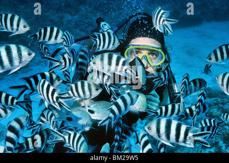 Scubadiver schwimmen durch Untiefe Riffbarsche Stockfoto