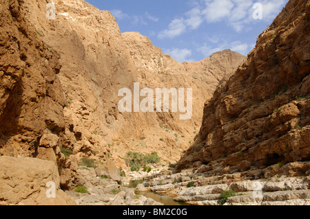 Wadi Shab Stockfoto