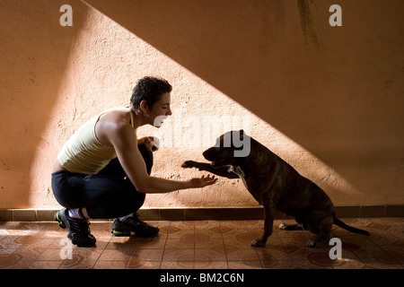 Ultimativen Kämpfer Frau Vanessa Porto schüttelt die Pfote von ihrer Trainerin Pitbull Hund, Hannah. Stockfoto