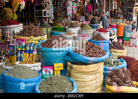 Gewürze und Kräuter zum Verkauf im Souk, Medina, Marrakesch (Marrakech), Marokko Stockfoto