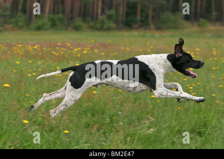 Zeiger in Bewegung / Zeiger in Aktion Stockfoto