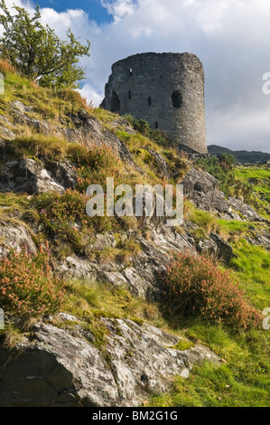 Halten der verlassenen Burg Dolbadarn an den Ufern des Llyn Padarn in der Nähe von Llanberis, Snowdonia-Nationalpark, Wales, UK Stockfoto