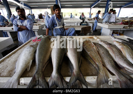 Fischmarkt in Deira, Dubai, Vereinigte Arabische Emirate, Naher Osten Stockfoto