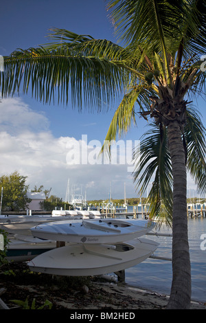 Zwei Sunfish Segeln Dinghys stapeln sich unter einer Palme im Hafen von Hope Town, Bahamas. Stockfoto