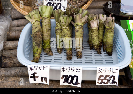 Drei verschiedene Größen von rohen Wasabi-Meerrettich-Wurzel zum Verkauf auf einem Markt in Echizen-Ono, Fukui, Japan Stockfoto