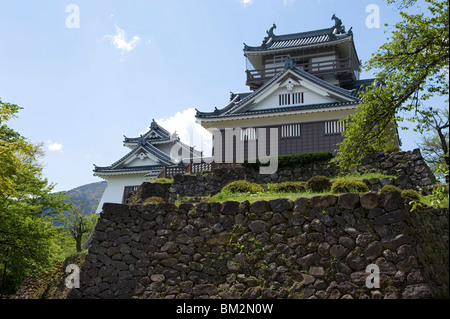 Echizen-Ono Burg auf Kameyama Berg in Fukui, Japan Stockfoto