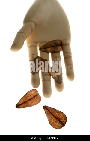 Mannequin hölzerne Hand hält Herbst braune Blätter Stockfoto