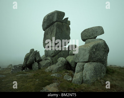 Granit-Toren im Nebel, Kosciuszko-Nationalpark, New South Wales Australien Stockfoto