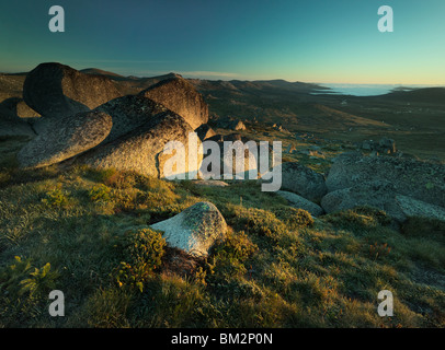 Ein wolkenloser Morgen bringt ein wenig Frost auf den Rams Head Bereich mit Nebel unten im Snowy River Valley. Kosciusko NP, NSW Stockfoto