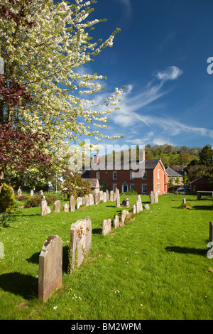 Großbritannien, England, Herefordshire, Fownhope, Str. Marys Kirchhof, Frühling, Baum in Blüte Stockfoto