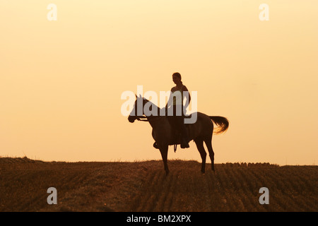 Reiter Im Raummotive / Reiterin in den Sonnenuntergang Stockfoto