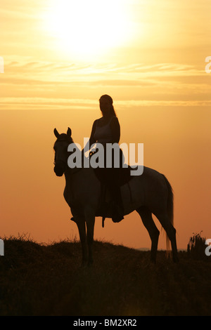 Reiter Im Raummotive / Reiterin in den Sonnenuntergang Stockfoto