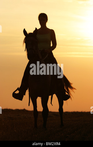 Reiter Im Raummotive / Reiterin in den Sonnenuntergang Stockfoto