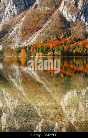 Abendlicht auf die Julischen Alpen rund um Bohinj-See in der Nähe von Ribcev Laz, Gorenjska, Slowenien Stockfoto