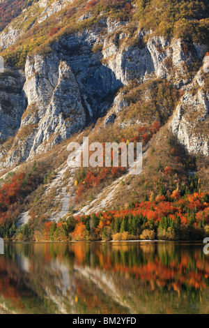 Abendlicht auf die Julischen Alpen rund um Bohinj-See in der Nähe von Ribcev Laz, Gorenjska, Slowenien Stockfoto