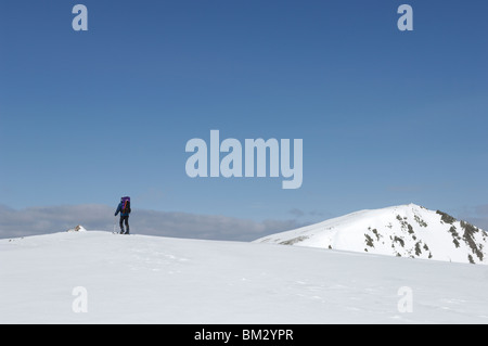 Ein Mann mit dem Skibergsteigen unter blauem Himmel mit Telemark Ausrüstung auf Angel Peak mit Braeriach im Hintergrund Cairngorms NP. Stockfoto