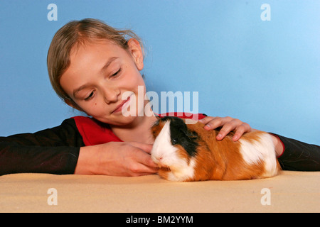 Meerschwein Mit Art / Meerschweinchen & junges Mädchen Stockfoto