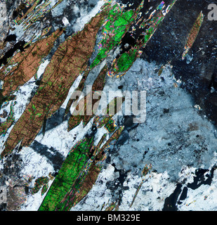 Aegirine Pegmatoid, mikroskopische Bild in cross-polarisiertem Licht, von Ledmore, Assynt, Schottland Stockfoto