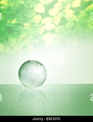 Grüne Blätter und Globus Stockfoto