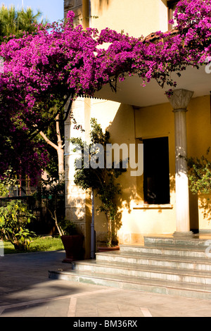 Bougainvillea draußen ein Museumsgebäude in Alanya, Türkei. Stockfoto